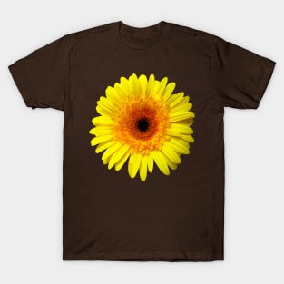 Sunny Yellow Gerbera Daisy T-Shirt